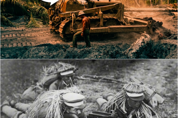 Why A Japanese POW Broke Down Crying After Watching American Bulldozers.