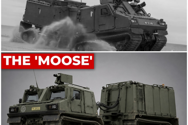The ‘Bendy’ British Marine Vehicle IEDs Broke In Helmand, Now Hunting Russians In Ukraine –  Hw