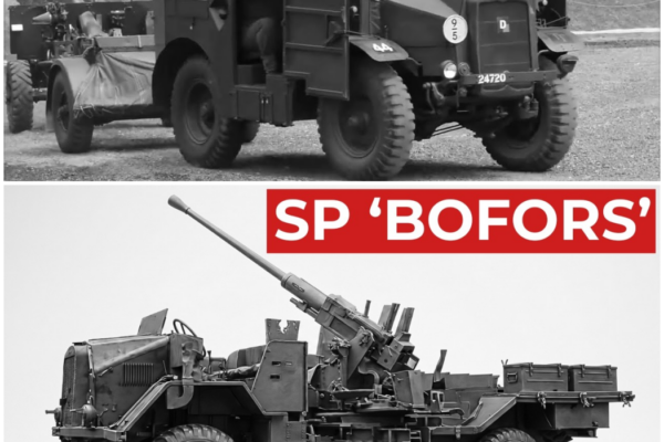 Why This ‘Crude’ British Car Company Built The Gun Truck The Luftwaffe Feared Most – Hw