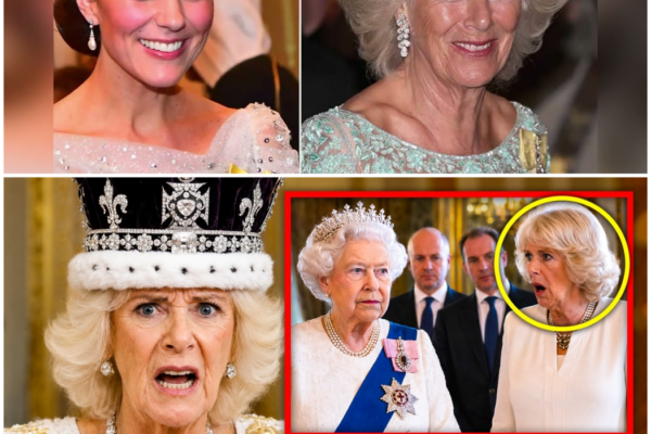1 MIN AGO: Palace Lawyers REVEAL Elizabeth Refused Camilla’s HRH Designation Permanently –  Hw