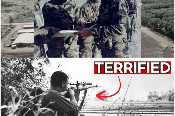 Why Viet Cong Snipers Feared Australian SAS Patrols More Than Anyone D