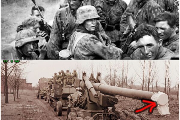 German General Watched 3,000 Shells Wipe Out His Army in 1 Second D