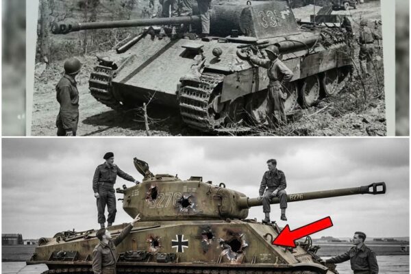 One Sherman Firefly Faced 5 German Panthers—The Battle That Left Even German Crews Stunned D