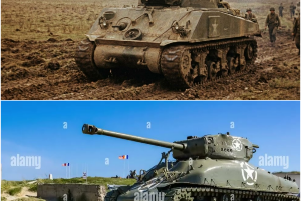 Why German Troops Were Shocked By The Secret Advantage Hidden Inside Sherman Tanks