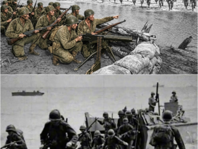Japanese Troops Thought the Marines Had Made a Fatal Mistake—Then One Night Changed Everything