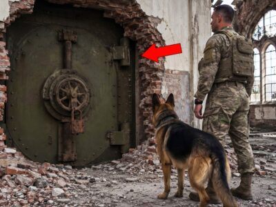 A Homeless Navy SEAL Slept in an Empty Church—His Dog Found a Door Sealed for 40 Years
