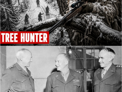 Why Were German Snipers Terrified of the American Who Took Down 87 Germans in Only 72 Hours ?