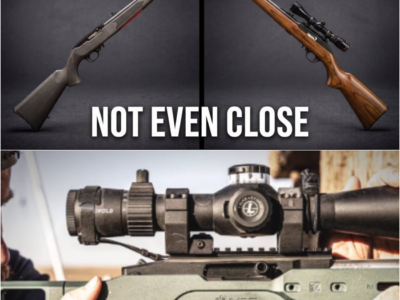 Ruger 10/22 vs Marlin Model 60 : The One the Internet Got Wrong