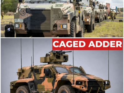 Why Australia Refused Ukraine The ‘Baby Bushmaster’ Its Soldiers Begged A Year To Get –  Hw