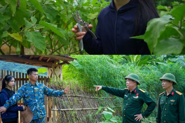 Veteran Trieu Khanh Faces a 19-Year-Old Woman: What Truth Is She Unable to Accept? JJ