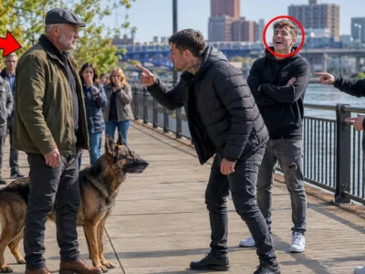 Thugs Harassed an Old Man and His German Shepherd—Unaware He Trained Navy SEALs
