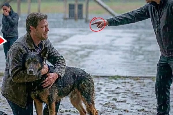 Everyone Mocked the Useless Police Dog — Until the Janitor Stepped In and Changed Everything