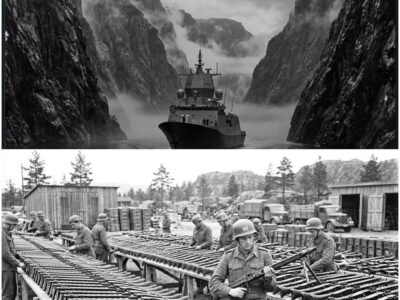 What Norway Quietly Did With the 4,296 German MG 34 Machine Guns They Captured in 1945 D