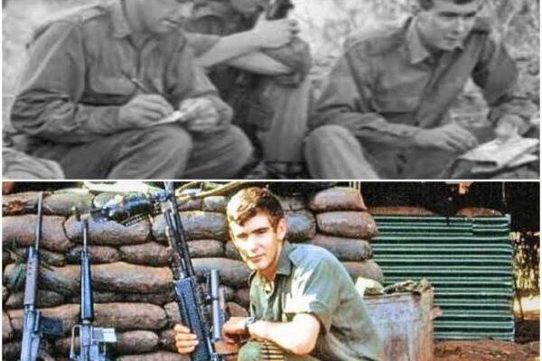 Why Viet Cong Marksmen Couldn’t Outshoot The Average Australian Rifleman D