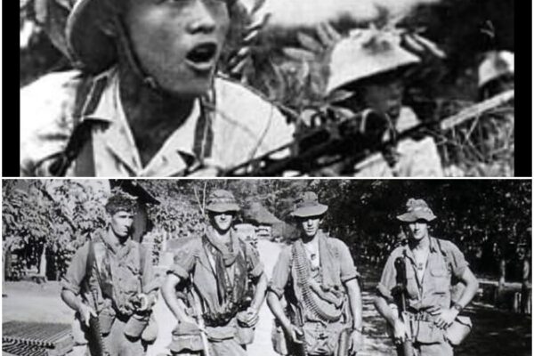Why The Viet Cong Misjudged Australian SAS In Vietnam D