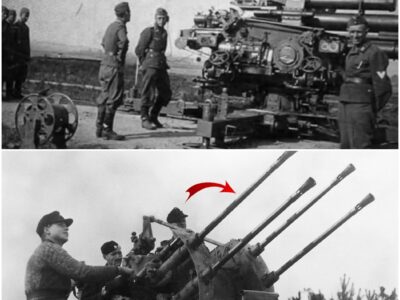 The Real Reason Germany Built a Super Flak the Allies Never Saw Coming D