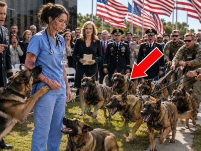 The Scarred Nurse Was Asked to Leave the Memorial — Then 7 K9 Dogs Formation for Her