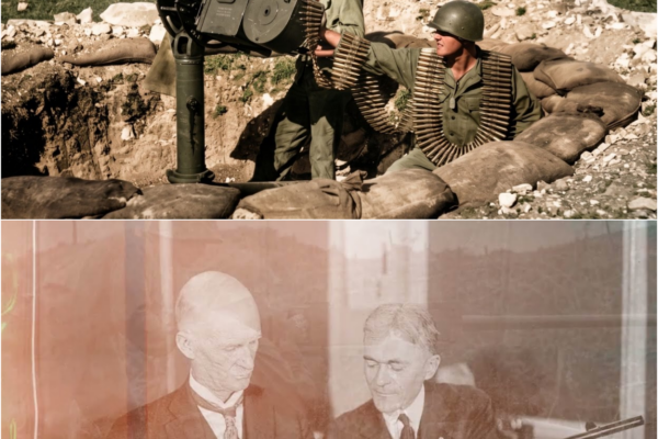 Japanese Soldiers Were HORRIFIED When U.S. Marines Used Machine Guns as Sniper Rifles