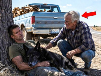 Everyone Drove Past the Navy SEAL and His K9—Until an Old Carpenter Stopped