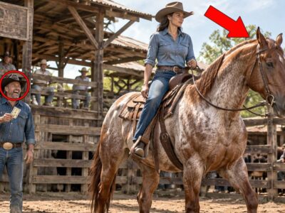 She Offered to Buy His Worst Stallion for a Dollar — Rode It Out of the Corral That Afternoon