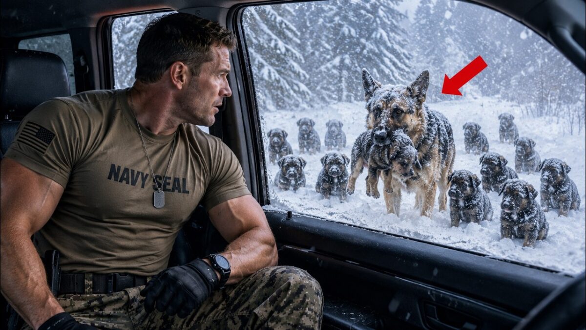A Navy SEAL Saved a Mother K9 in a Blizzard—Then 9 Puppies Changed His Life