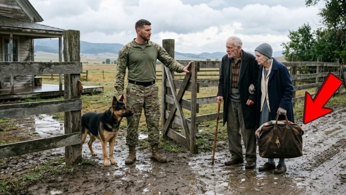 “Can We Sleep in Your Barn” They Asked a Navy SEAL — Then His Dog Gave Them Hope
