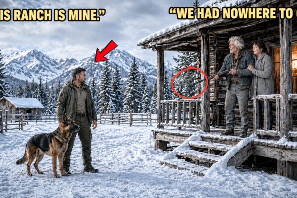 A Navy SEAL Left Everything After His Wife Died — Then His K9 Found Two Strangers Keeping His Fa…