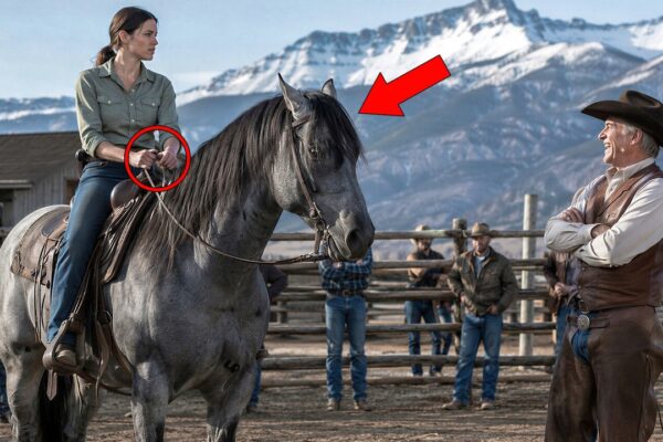 A Girl Was Forced to Ride the Ranch’s Wildest Stallion—What Happened Next Silenced Everyone