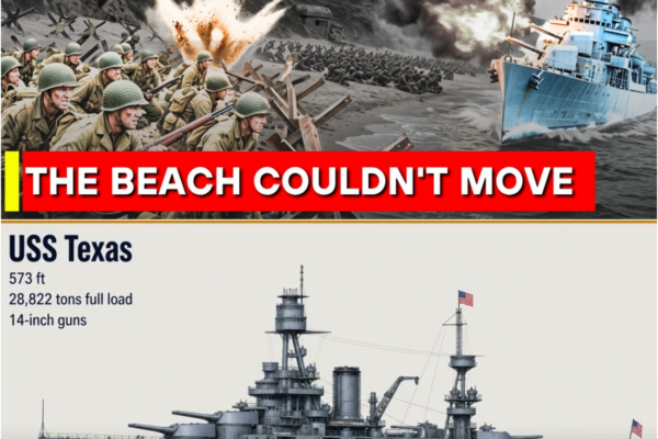 German Guns Pinned Every Man to the Sand at Omaha, Then the Destroyers Came In Almost Aground