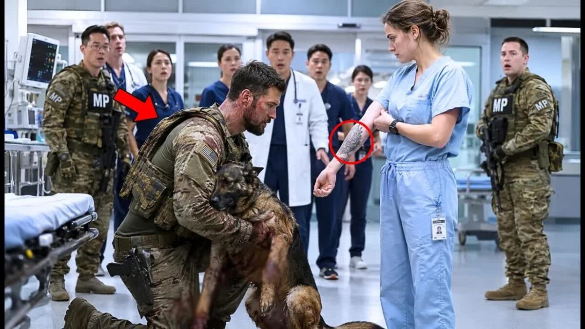 The SEAL Wouldn’t Let Anyone Touch His K9 — Until the Nurse Showed an Old Tattoo