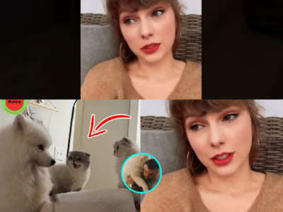 When Claws Come Out: Taylor Swift Mediates a Shocking Stand-Off Between a Friend and Feline at Travis Kelce’s Mansion