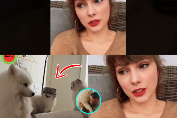 When Claws Come Out: Taylor Swift Mediates a Shocking Stand-Off Between a Friend and Feline at Travis Kelce’s Mansion