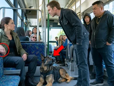 Gangsters Threatened a Woman on the Bus—Unaware Her German Shepherd Was Military-Trained