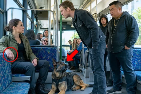 Gangsters Threatened a Woman on the Bus—Unaware Her German Shepherd Was Military-Trained