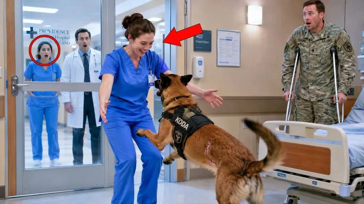 She Worked as a Quiet Nurse for 5 Years — Until a Military Dog Uncovered Her Secret Past