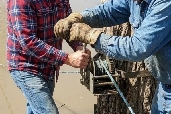 His Cattle Refused One Side of the Pond — Then He Found What Was Buried Below