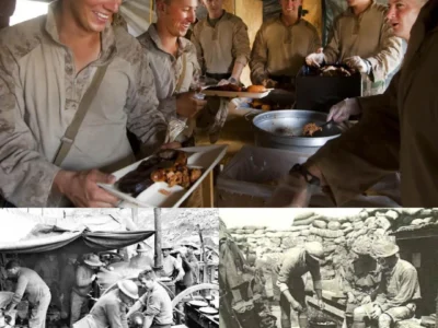 The HORRORS of the Patrol Ration: Why Australian SASR Ate Insects While US Forces Starved JJ