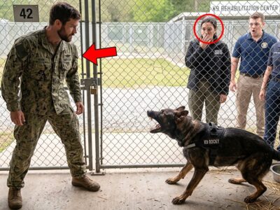 A Terrified K9 Wouldn’t Let Anyone Near Him—Until a Navy SEAL Entered His Kennel Alone