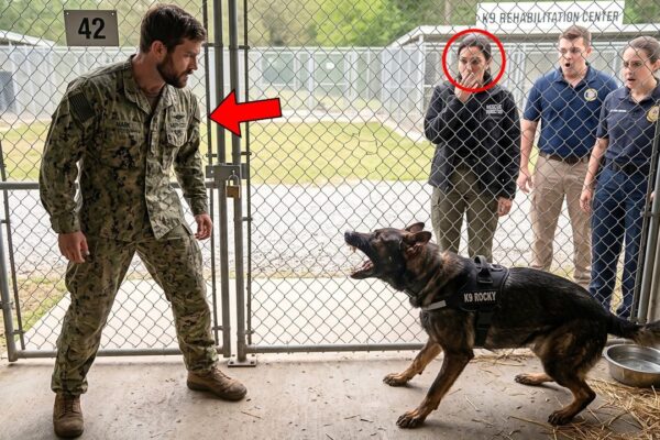 A Terrified K9 Wouldn’t Let Anyone Near Him—Until a Navy SEAL Entered His Kennel Alone