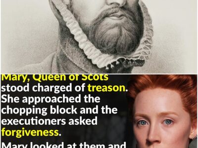 The Disturbing True History Of Mary, Queen Of Scots D