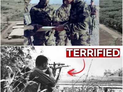 Why Viet Cong Snipers Feared Australian SAS Patrols More Than Anyone D