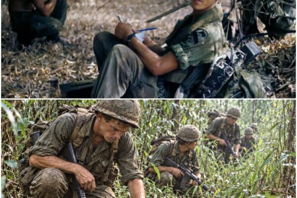 8 Things a Grunt Did Walking Point in Vietnam That Kept the Whole Column Alive D
